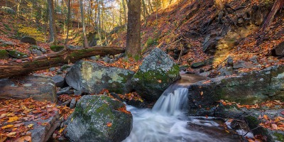 Indian-Well-State-Park-Connecticut-Fall-Foliage-Roth-Galleries